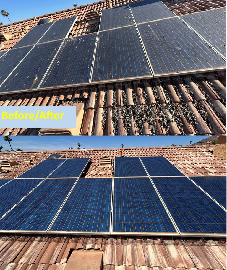 Solar panel bird proof mesh install phoenix before and after