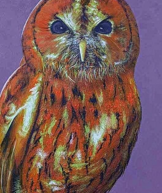 Portrait painting of a Tawny Owl