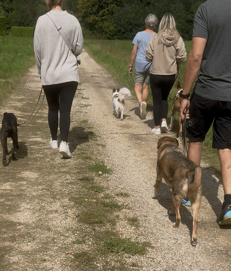 Social Walk Frickenhausen