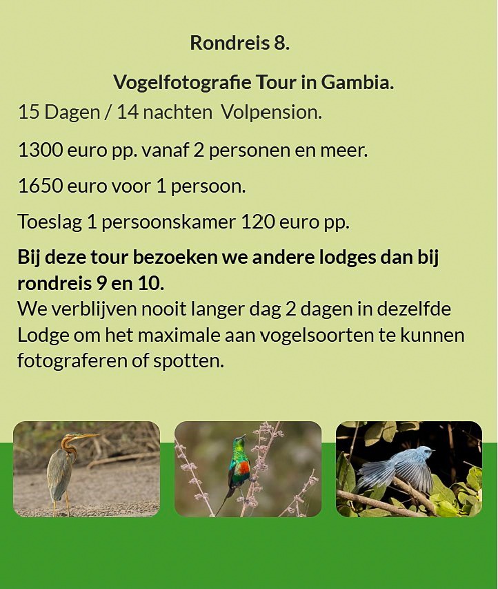 Flyer Tour 8 – 15-daagse vogelfotografie Gambia rondreis, full board, prijs vanaf €1300 p.p. Inclusi