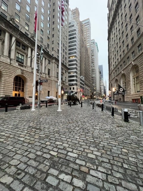 Charging Bull Wall Street New York 