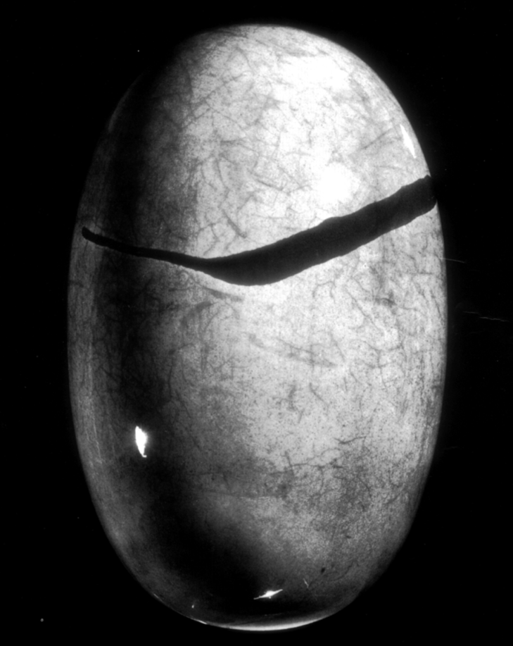 Shiva lingam