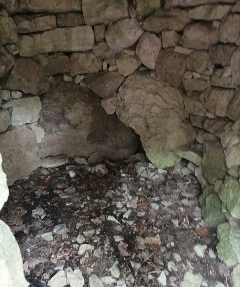 Come inside