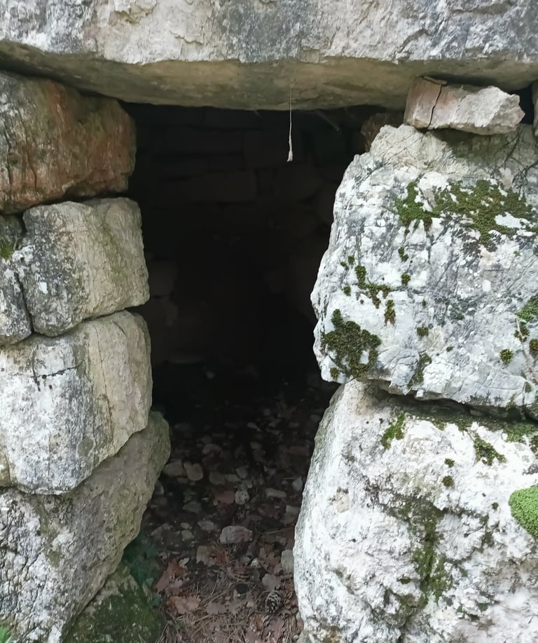 Cabane entrance