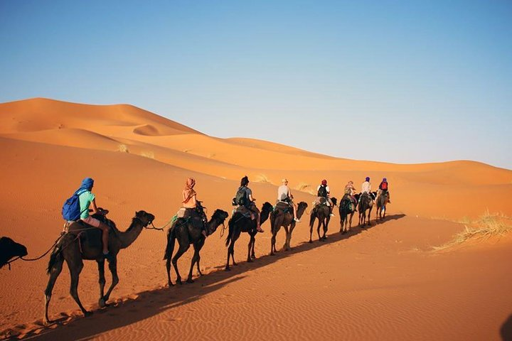 Group of people walking camel in desert, following each other.