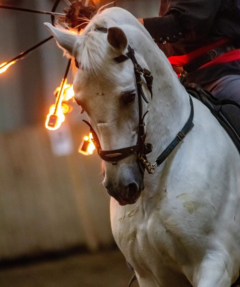 Rênes à la ceinture et éventails de feu