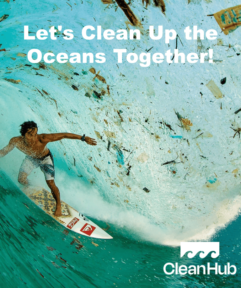 cleanhub-poster