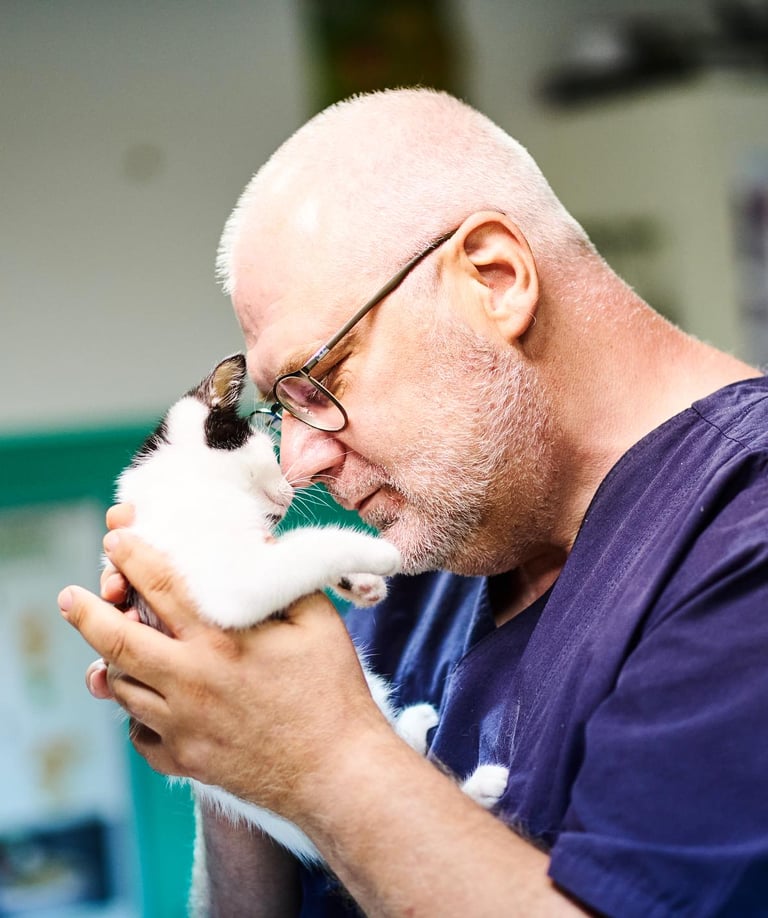 Veterinar Ćirković u zagrljaju sa mačkom – poverenje i ljubav prema životinjama u Zemunu