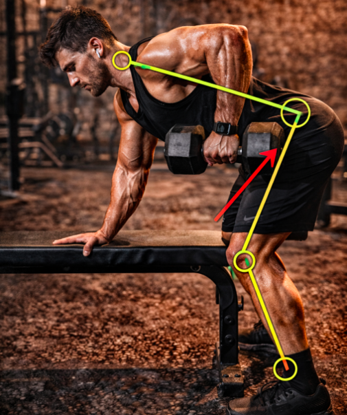 A muscular man performing a single-arm dumbbell row on a gym bench with anatomy alignment highlights.