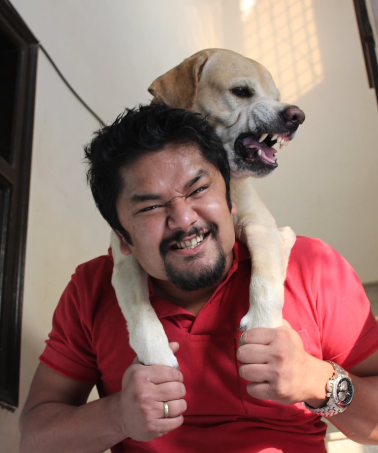 Dog Boarding, Dog Boarding near me, Pet Boarding, Pet Boarding near me, Dog Care, Happy Pettings