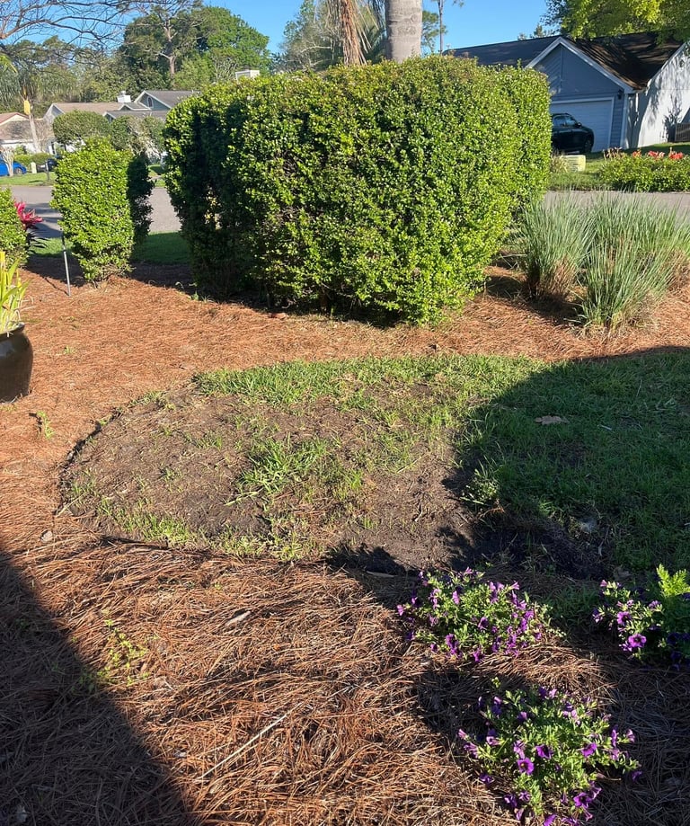 before landscaping Palm Valley Fl