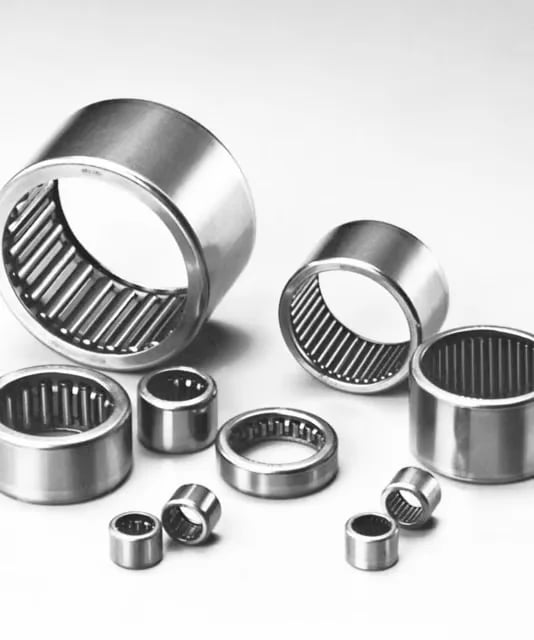 Needle Bearing near Daman, SIlvassa, Umbergoan, Pardo