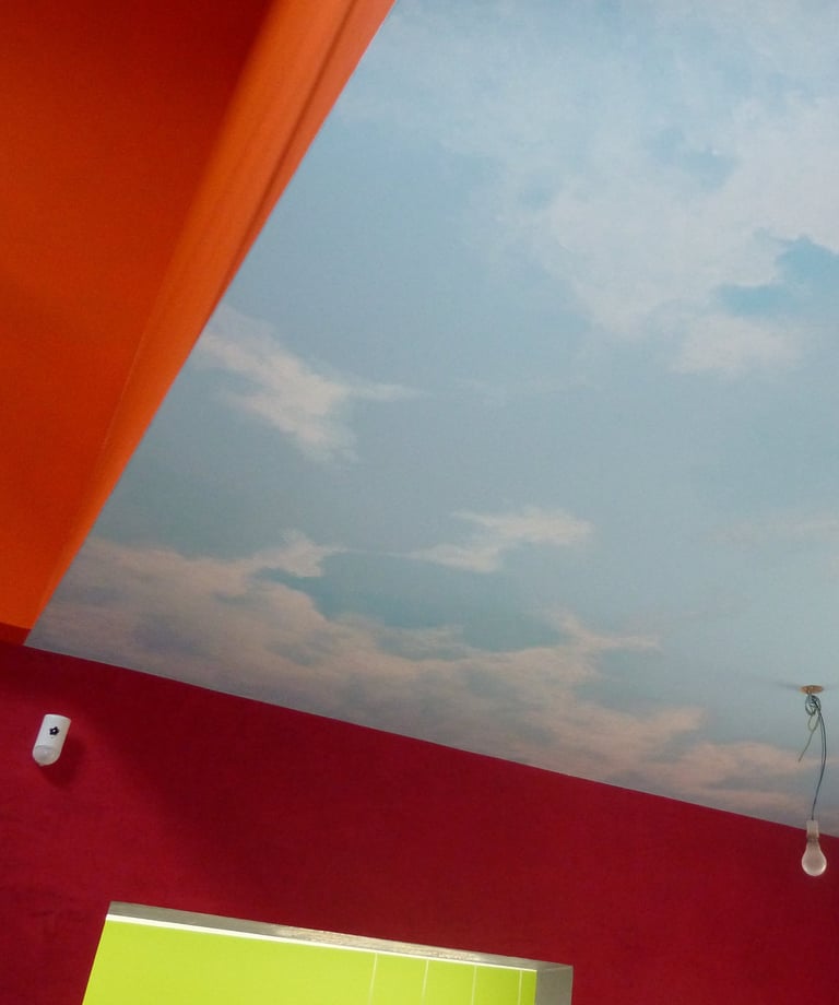 Ce ciel plafonnant contemporain créé une touche d'originalité et invite à l'évasion dans une entrée stylée et très moderne. 