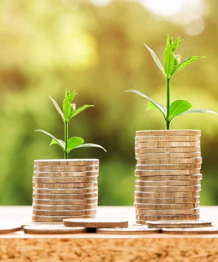 coins with plants sprouting out of them symbolizing growing wealth and compound interest