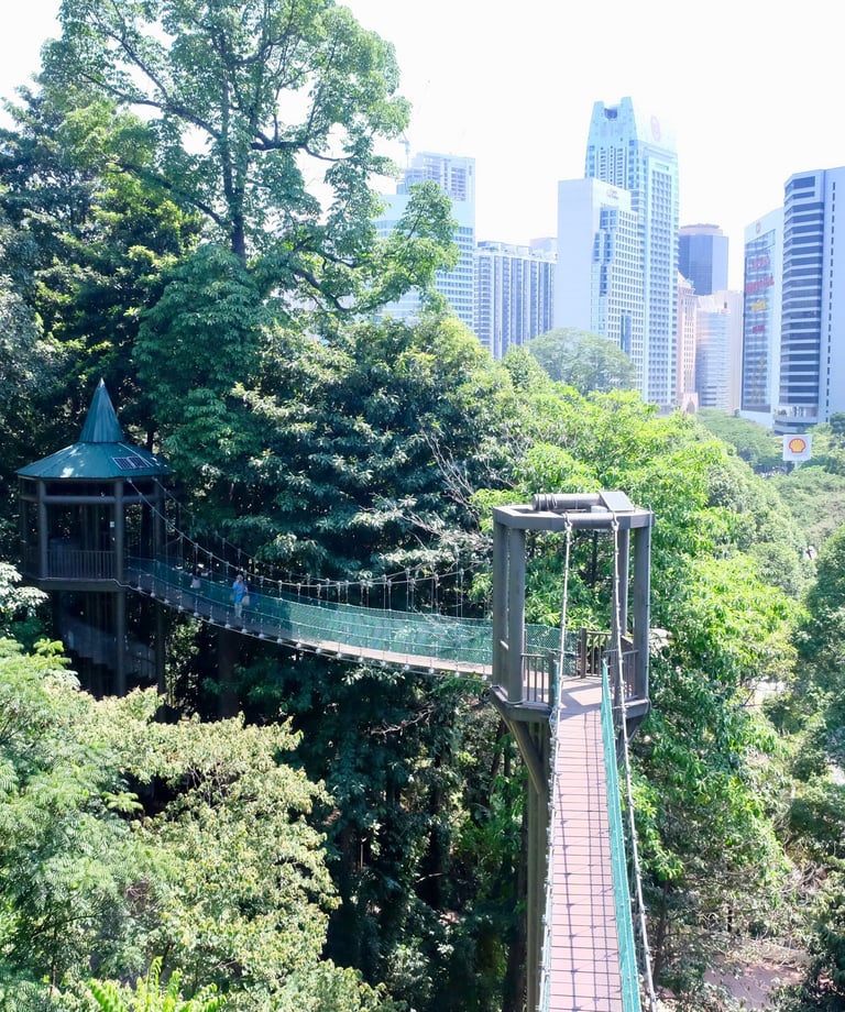 kl forest eco park