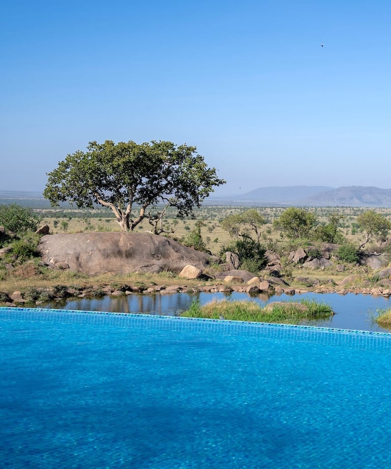 Four Seasons Serengeti pool