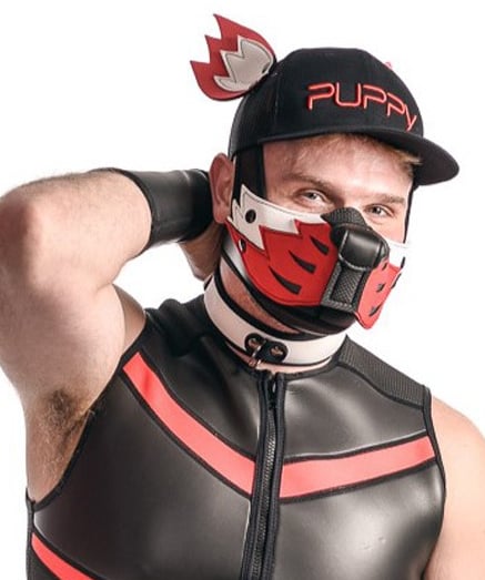 Man in pup wolf mask and cap