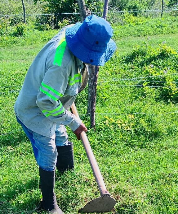 Persona arando tierra fertil para sembrar