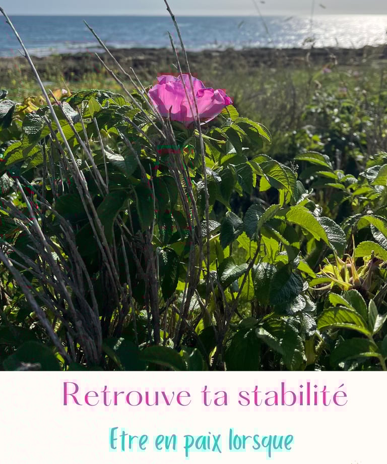 Soin vibratoire : Etre en paix lorsque ses fondations tremblent