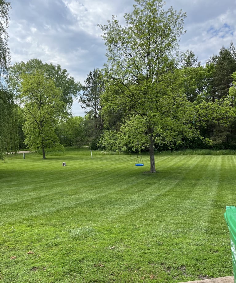 residential lawn in Buffalo MN freshly mowed