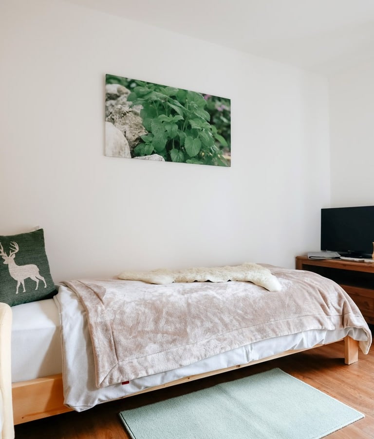 a bedroom with a bed and a television