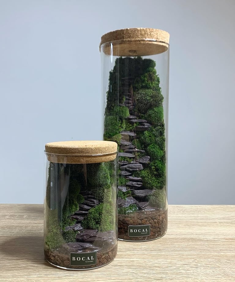 un terrarium unique