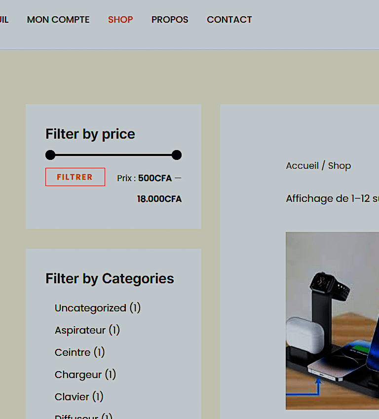 Exemple de site Web fait par NeoCodex