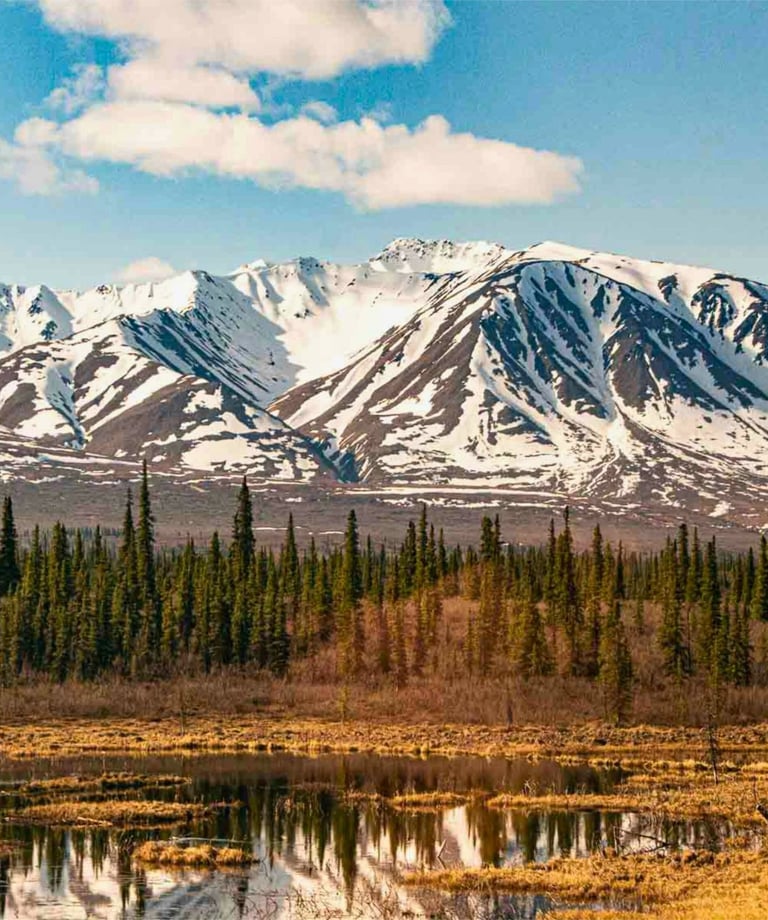 Snow-capped Alaskan mountains reflected in a calm marsh lake surrounded by evergreen pine trees.
