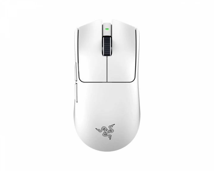 a mouse mouse mouse mouse mouse mouse mouse mouse mouse mouse mouse mouse mouse mouse mouse