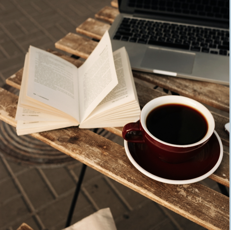 Individual IB tutoring session for Maths or Physics students