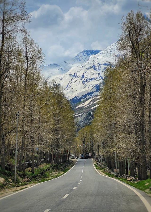 a road with a mountain in the background