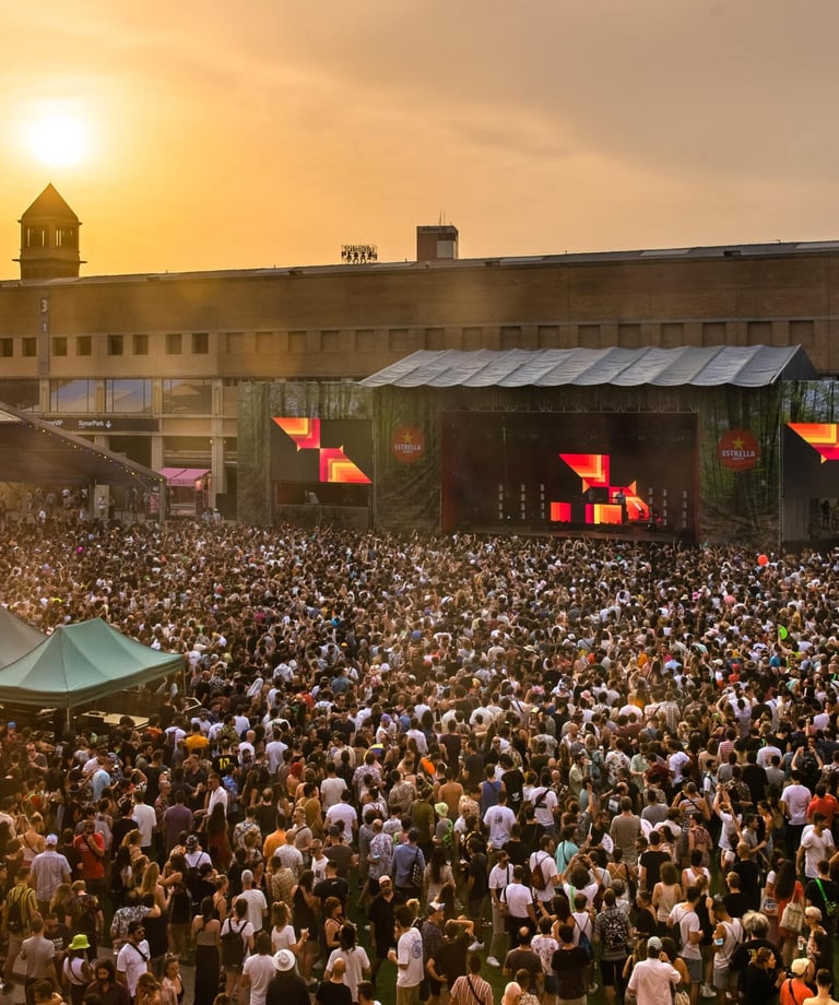 artistas en festivales y eventos