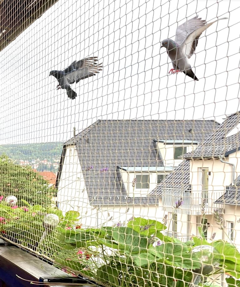 Anti Bird nets