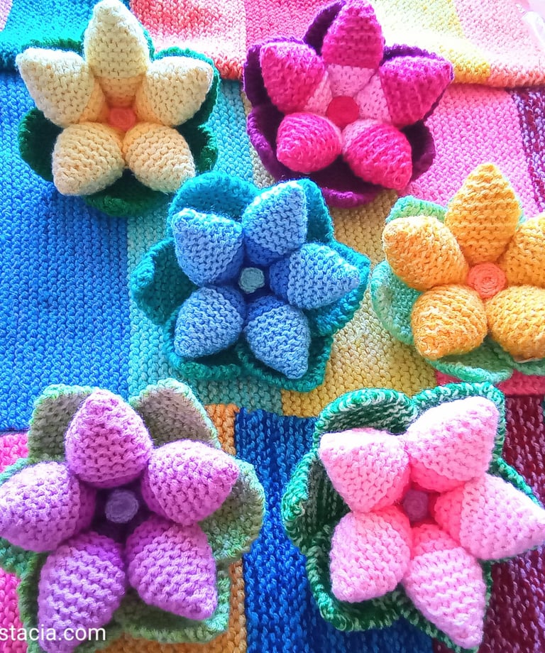 Beautiful bright flowers in bowl shape