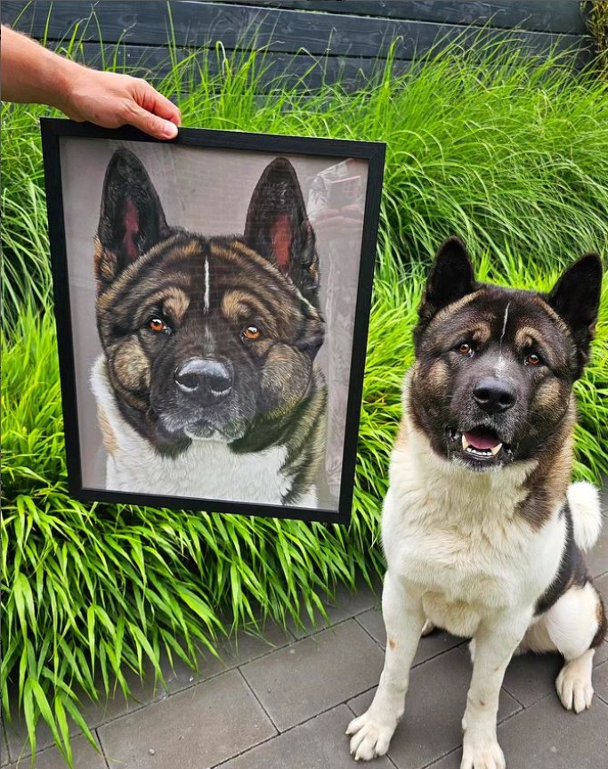 pet portrait commissions