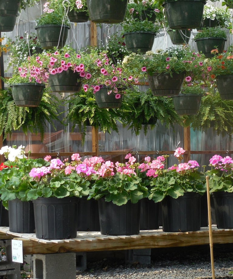 Plant and nursery village