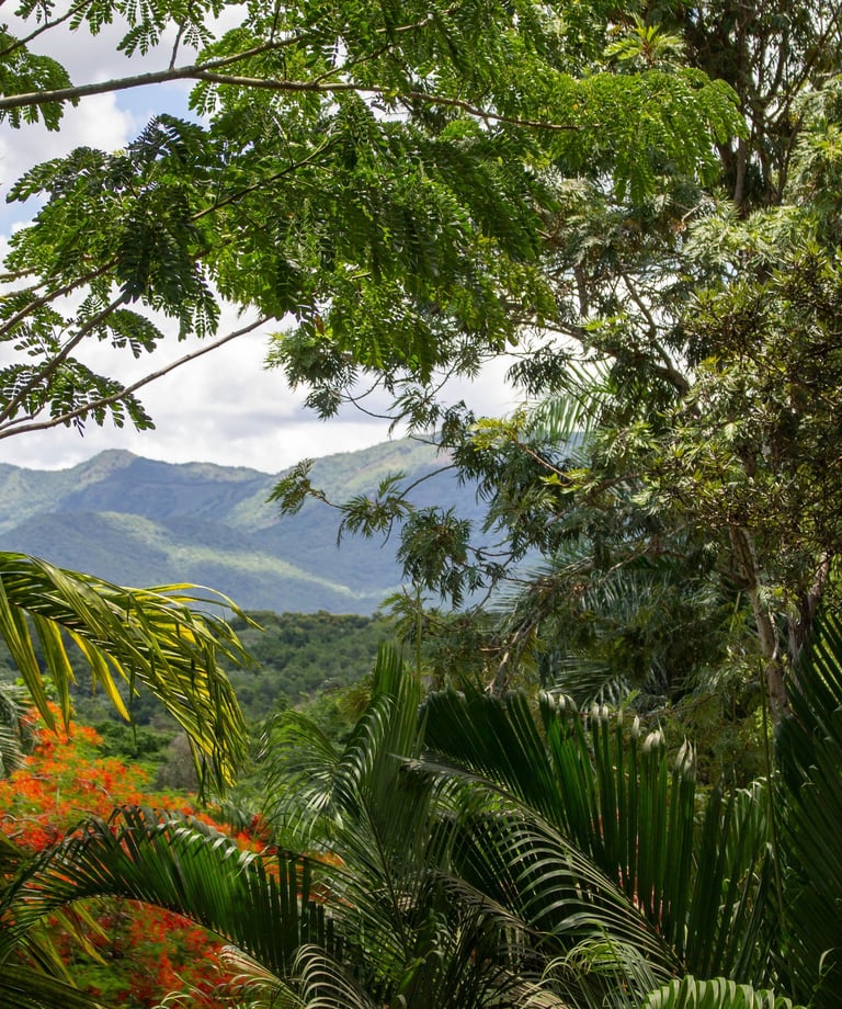 Vista de Pedro Brand, República Dominicana, un destino cercano a Santo Domingo con encanto local.