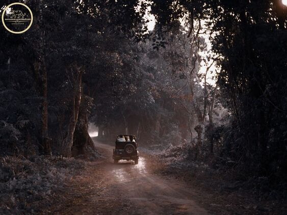 jeep in ranthambore national park