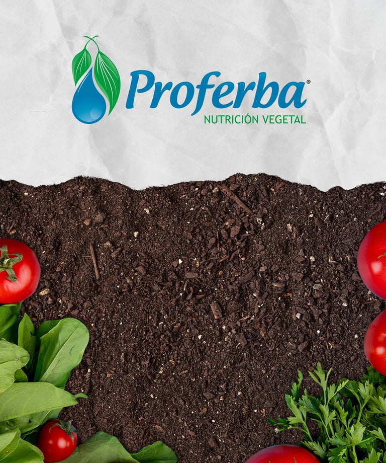 Preview of Proferba agricultural products social media design by PanPanPancakes
