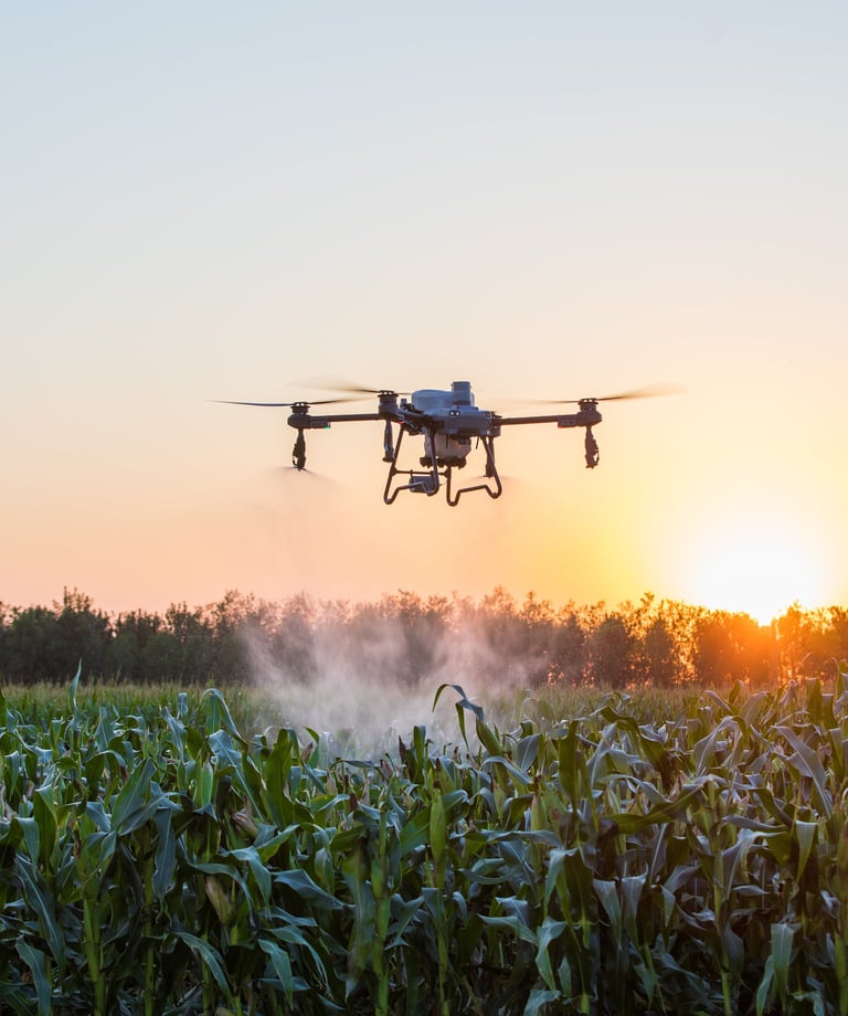 DJI Agras T25 agrodronas