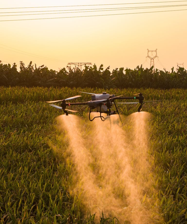 DJI Agras T50 agrodronas