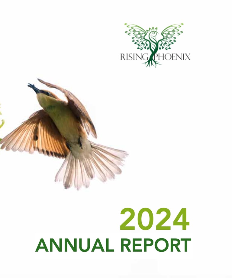 2024 Report