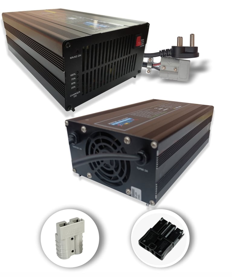 Sunmax high-quality electric rickshaw (e-rickshaw) charger