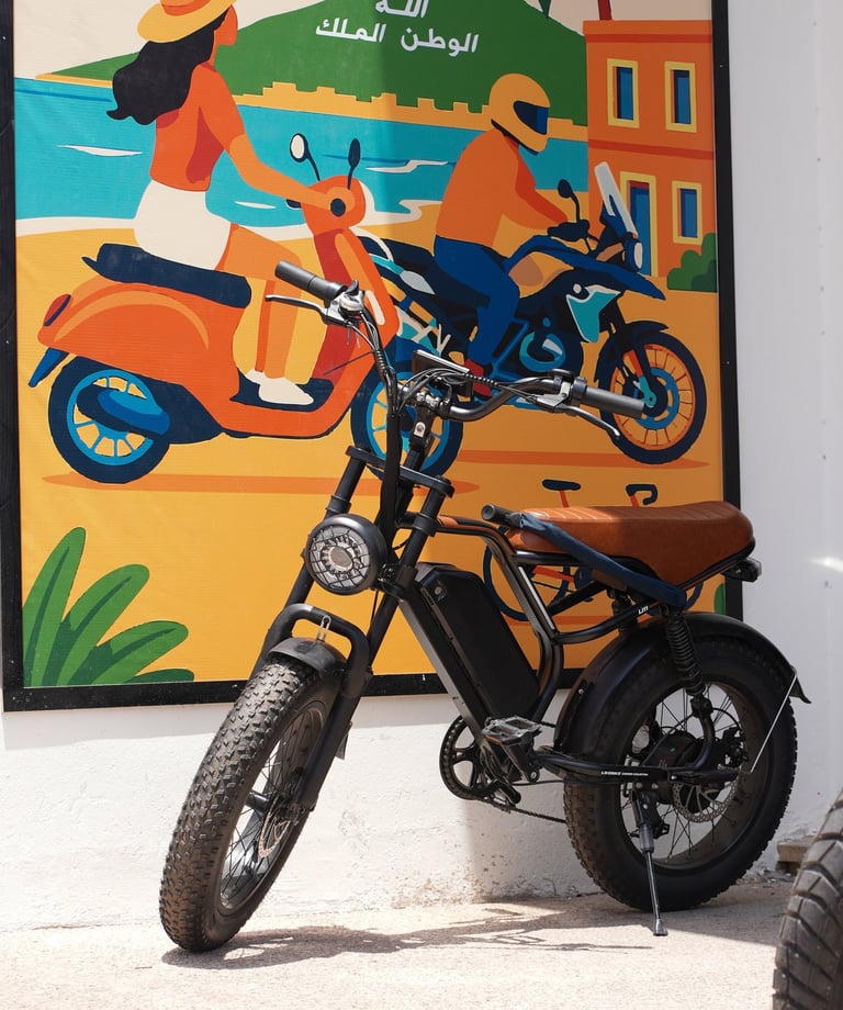 vélo electrique agadir