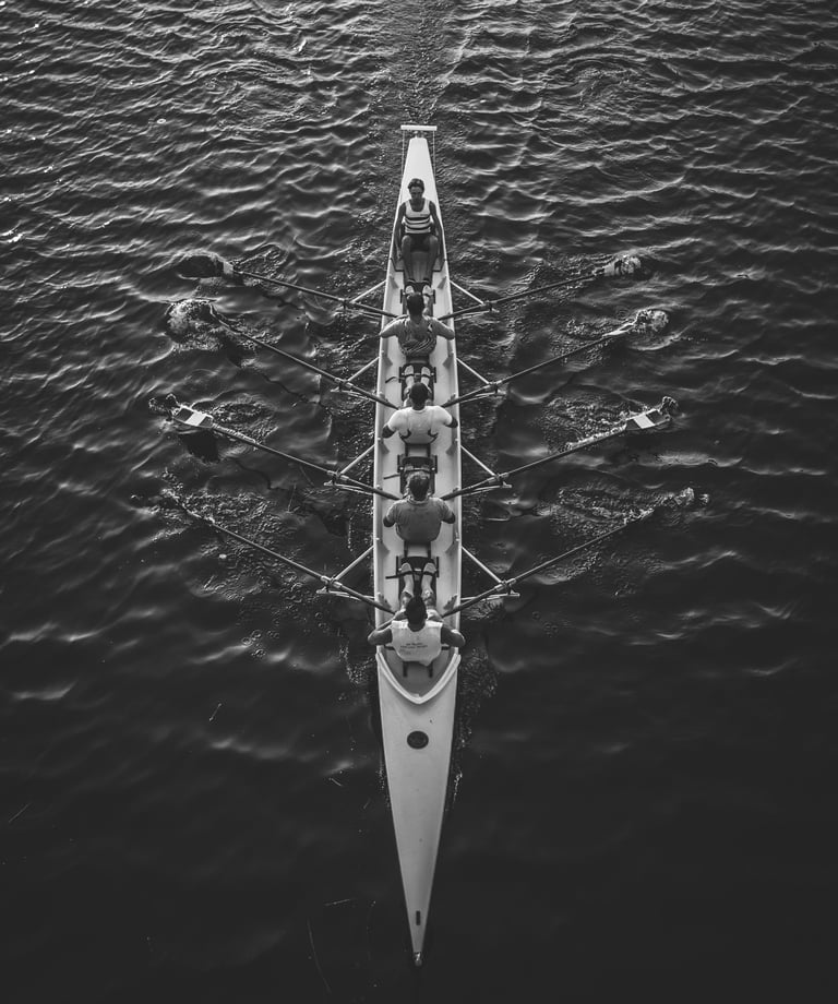 Kairysis consulting
