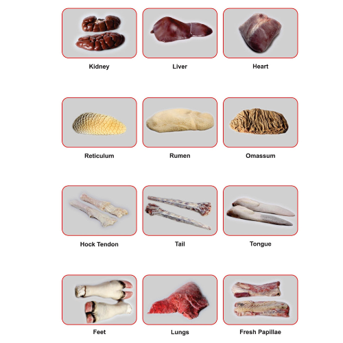 Halal buffalo offals—cleaned, processed, and packed for export as per global quality standards.
