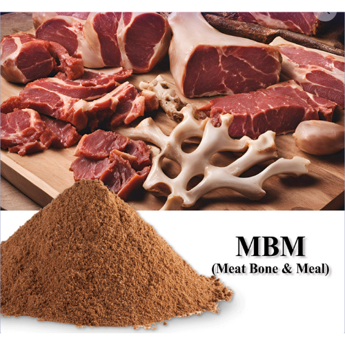 High-protein meat and bone meal (MBM) from buffalo byproducts—processed for export-grade use.