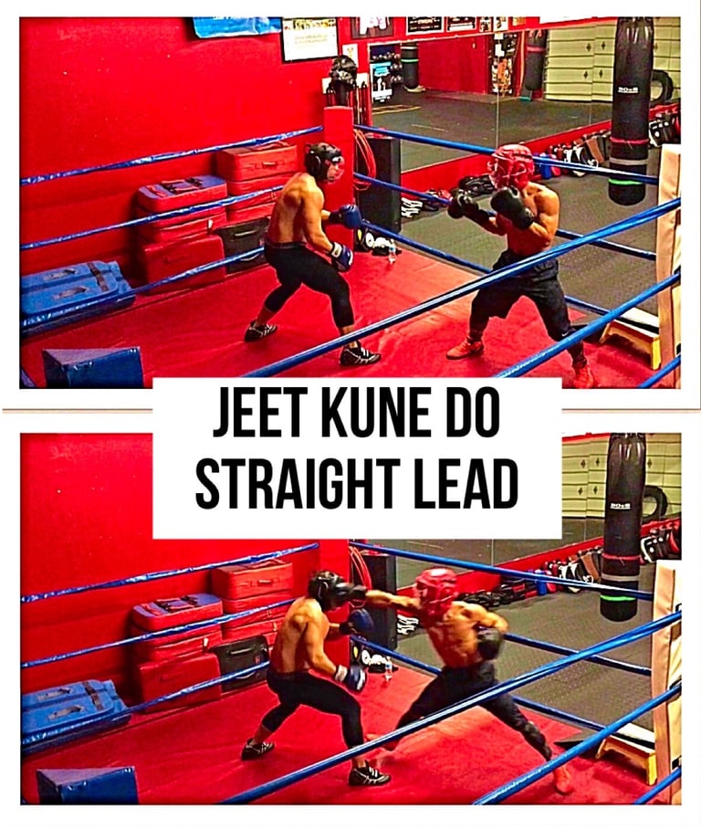 Warriors in a boxing ring fighting!