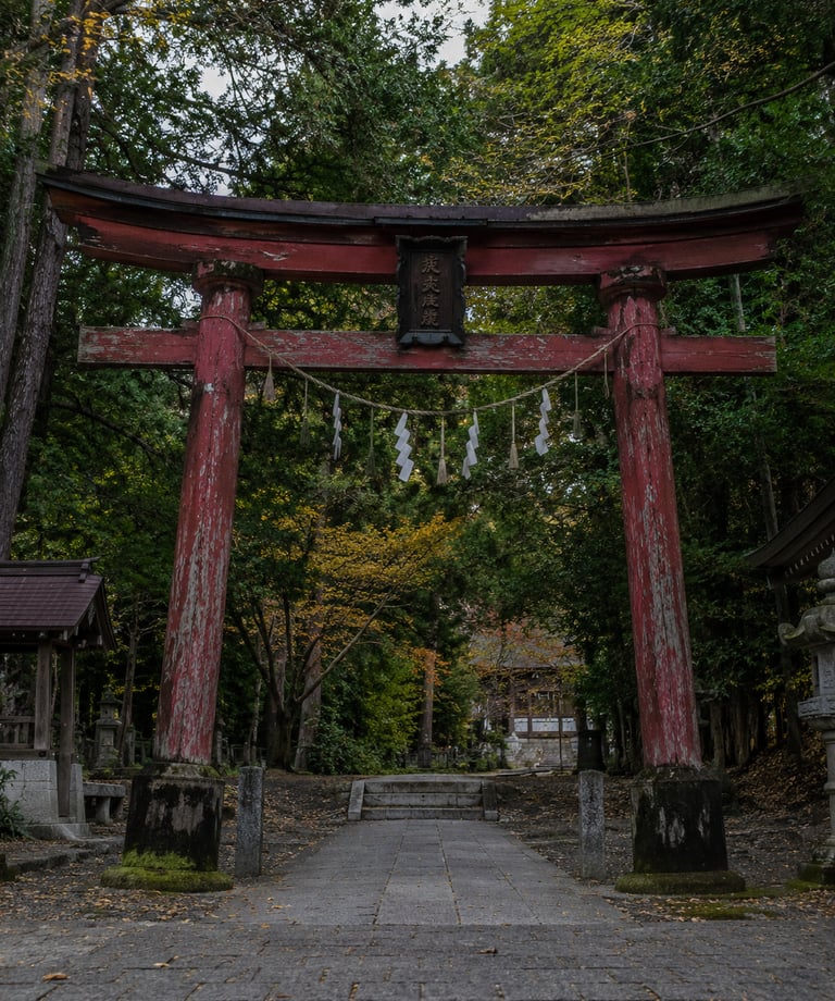 A weathered red wooden torii gate marks the entrance to a traditional Japanese Shinto shrine in a lush forest.