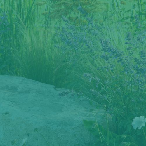 Horticulture & Landscaping Virtual Assistant Admin Services